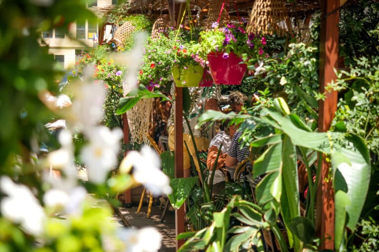 À Castellane, Ubud offre une bulle de verdure pour s&rsquo;évader en Indonésie
