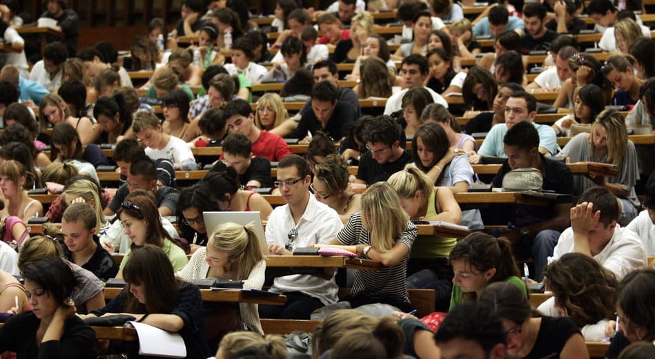 L’insertion professionnelle des étudiants en situation de handicap en questions à l&rsquo;Université Aix-Marseille