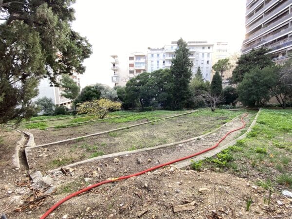 vegetalisation-parc-comerie