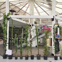 vegetation-docks-marseille-joliette