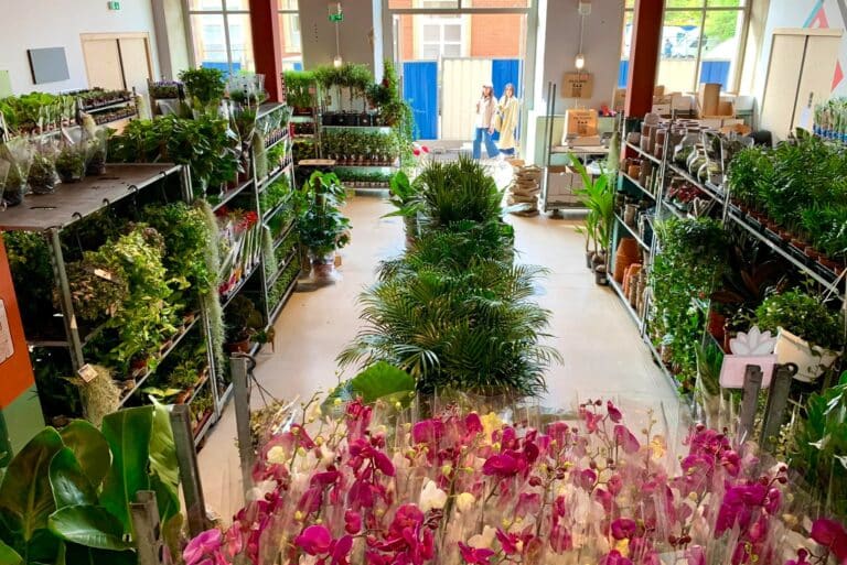 Une grande vente de plantes à petits prix débarque à Marseille