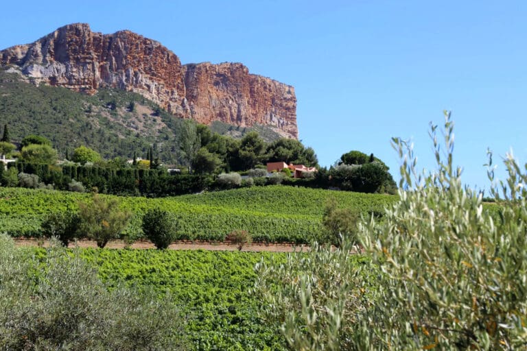 À Cassis, les vignerons fêteront en mai les 90 ans de leur appellation