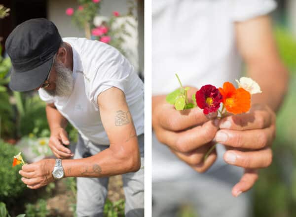 yazid-terre-entraide-partage-jardin-fleurs