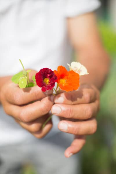 yazid-terre-entraide-partage-jardin11