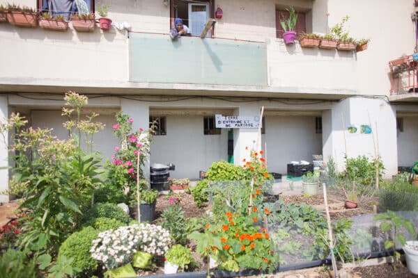 jardins, Yazid Bendaif fait pousser des jardins nourriciers dans les quartiers Nord de Marseille, Made in Marseille