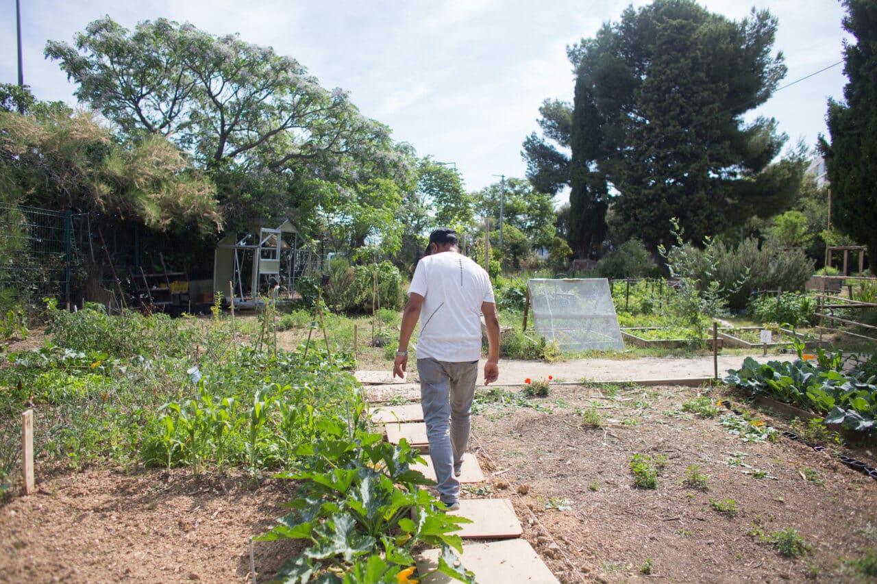 jardins, Yazid Bendaif fait pousser des jardins nourriciers dans les quartiers Nord de Marseille, Made in Marseille