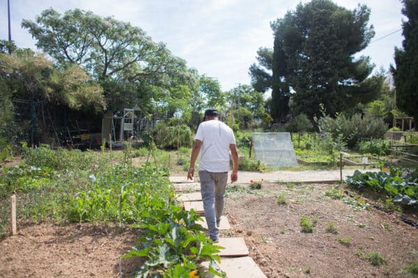 yazid-terre-entraide-partage-jardin16