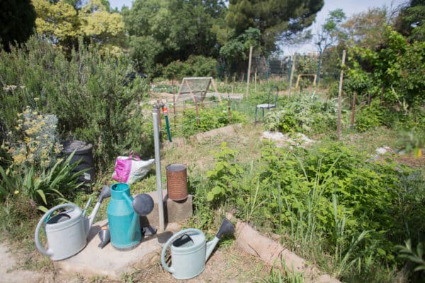 yazid-terre-entraide-partage-jardin19