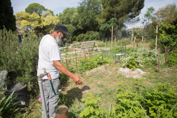 yazid-terre-entraide-partage-jardin20