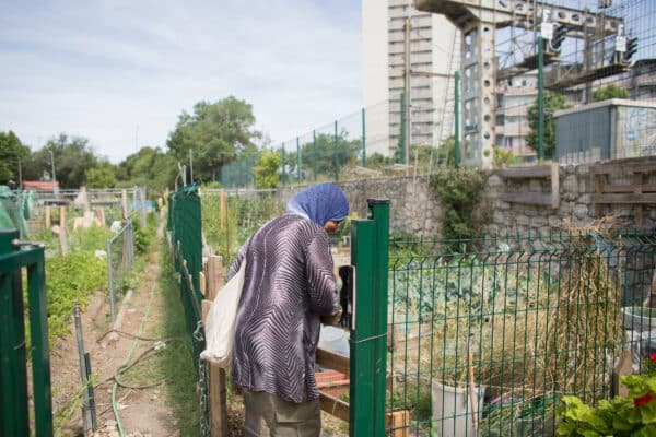 yazid-terre-entraide-partage-jardin25