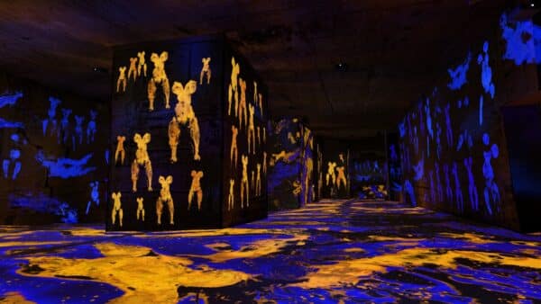 yves-klein-infini-bleu-carrieres-lumiere-baux-provence